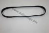 AUTOMEGA 30100390800 V-Ribbed Belts